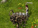 2010101222135095.jpg